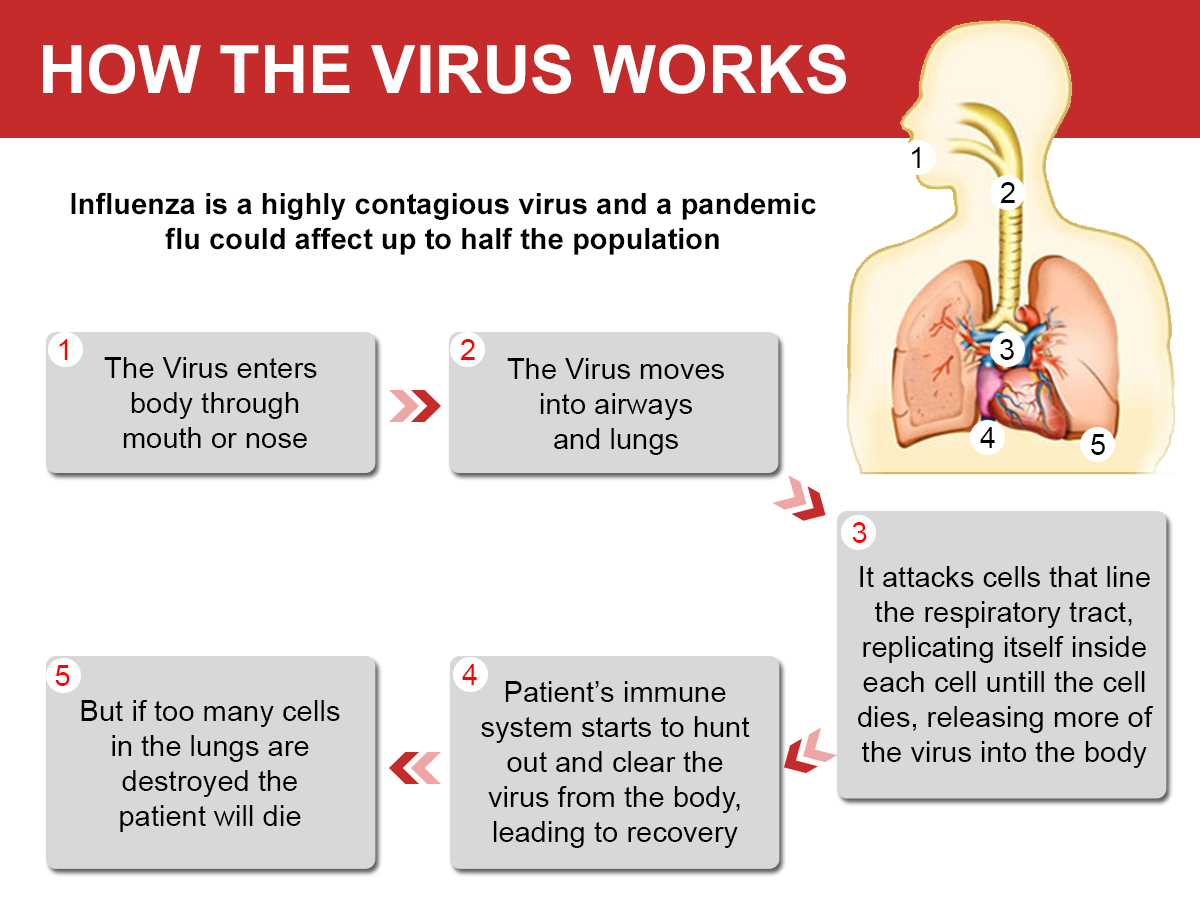 6 Preventive Steps to Save Yourself from Swine Flu Infection Home / 6