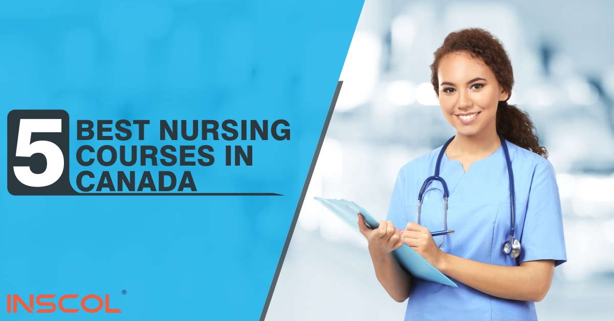 online phd nursing canada